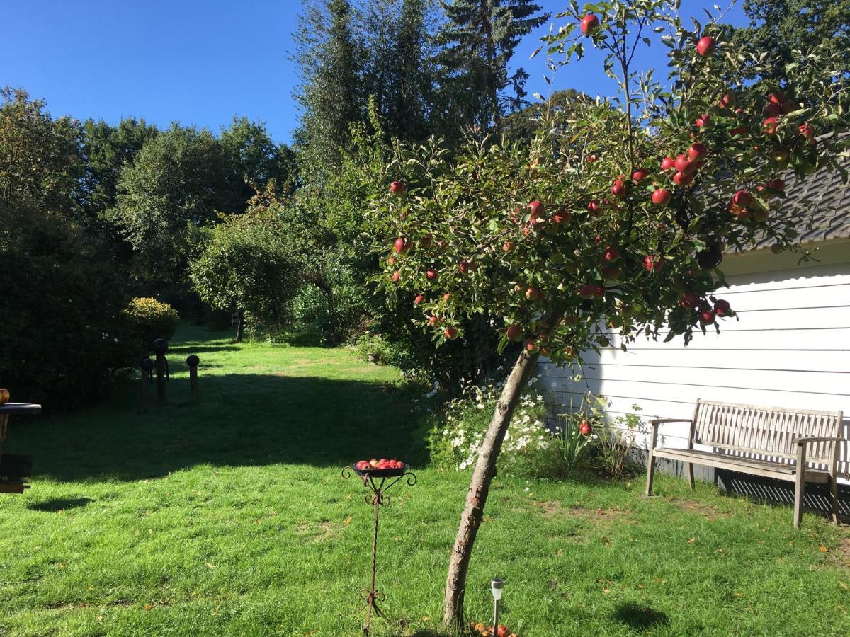 Natuurhuisje Heerlijkheid Beek Berg en Dal Esterno foto